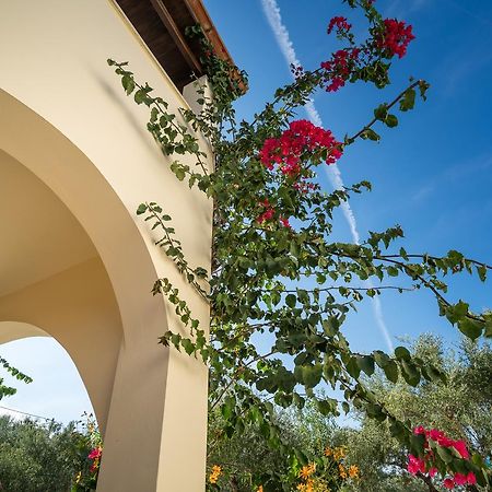 Olga Studios Vasilikí Exteriér fotografie
