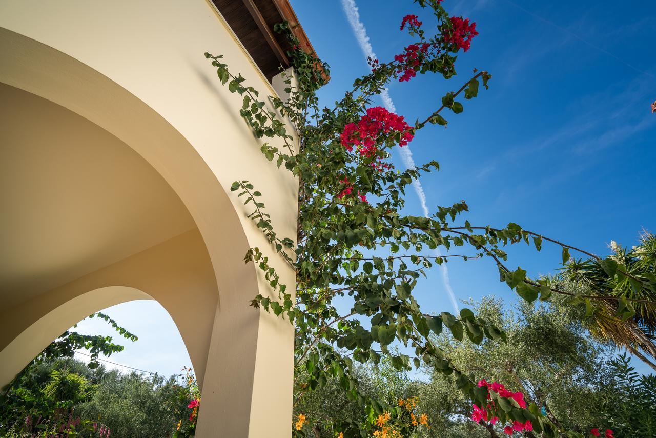 Olga Studios Vasilikí Exteriér fotografie